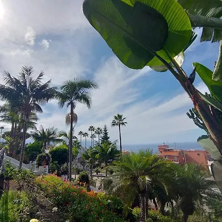 Hébergement de vacances Emblematica Casa Rural Con Wifi En El Sauzal Tenerife *