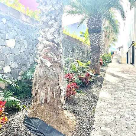 Emblematica Casa Rural Con Wifi En El Sauzal Tenerife * El Sauzal